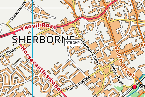 DT9 3HP map - OS VectorMap District (Ordnance Survey) DT9 3HP map - OS VectorMap District (Ordnance Survey)