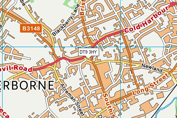 DT9 3HY map - OS VectorMap District (Ordnance Survey) DT9 3HY map - OS VectorMap District (Ordnance Survey)