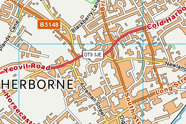 DT9 3JE map - OS VectorMap District (Ordnance Survey) DT9 3JE map - OS VectorMap District (Ordnance Survey)