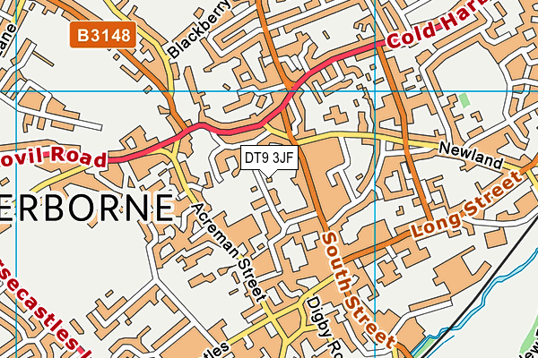 DT9 3JF map - OS VectorMap District (Ordnance Survey) DT9 3JF map - OS VectorMap District (Ordnance Survey)