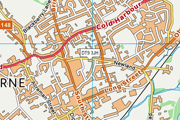 DT9 3JH map - OS VectorMap District (Ordnance Survey) DT9 3JH map - OS VectorMap District (Ordnance Survey)
