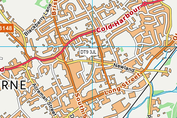 DT9 3JL map - OS VectorMap District (Ordnance Survey) DT9 3JL map - OS VectorMap District (Ordnance Survey)