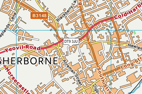 DT9 3JU map - OS VectorMap District (Ordnance Survey) DT9 3JU map - OS VectorMap District (Ordnance Survey)