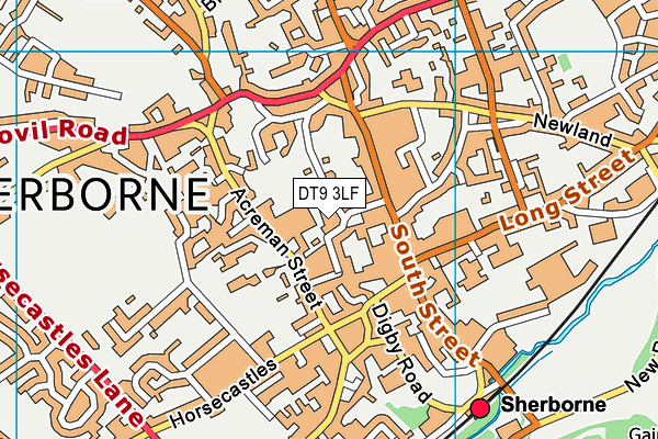 DT9 3LF map - OS VectorMap District (Ordnance Survey) DT9 3LF map - OS VectorMap District (Ordnance Survey)
