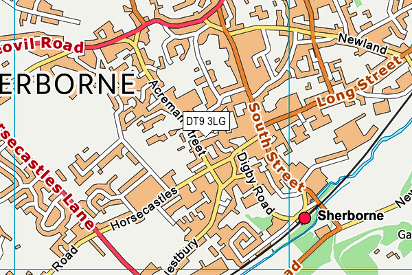DT9 3LG map - OS VectorMap District (Ordnance Survey) DT9 3LG map - OS VectorMap District (Ordnance Survey)