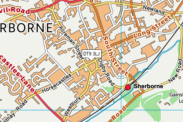 DT9 3LJ map - OS VectorMap District (Ordnance Survey) DT9 3LJ map - OS VectorMap District (Ordnance Survey)