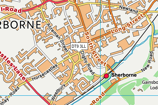 DT9 3LL map - OS VectorMap District (Ordnance Survey) DT9 3LL map - OS VectorMap District (Ordnance Survey)