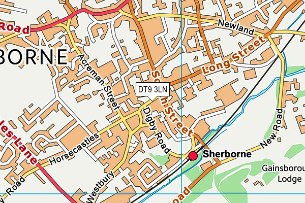 DT9 3LN map - OS VectorMap District (Ordnance Survey) DT9 3LN map - OS VectorMap District (Ordnance Survey)