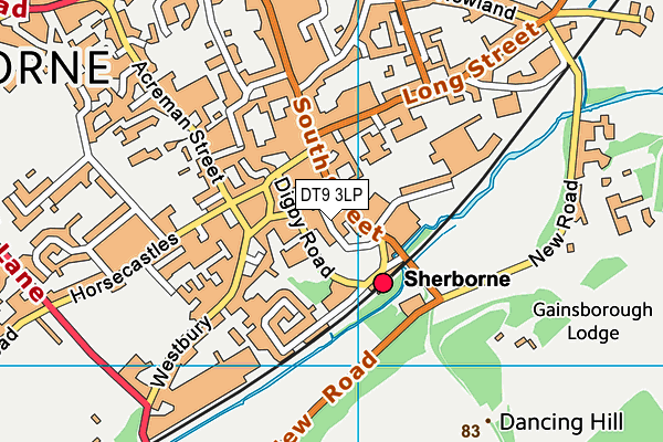 DT9 3LP map - OS VectorMap District (Ordnance Survey) DT9 3LP map - OS VectorMap District (Ordnance Survey)