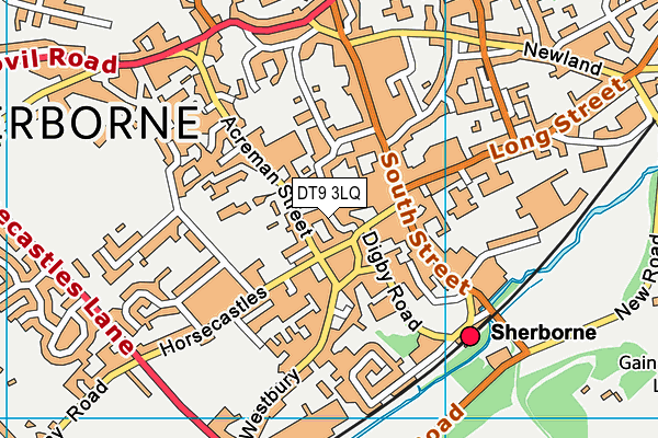 DT9 3LQ map - OS VectorMap District (Ordnance Survey)