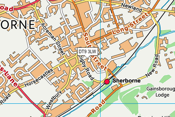 DT9 3LW map - OS VectorMap District (Ordnance Survey) DT9 3LW map - OS VectorMap District (Ordnance Survey)