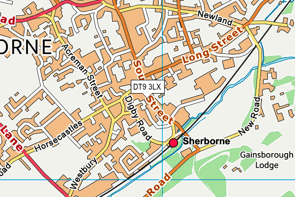 DT9 3LX map - OS VectorMap District (Ordnance Survey) DT9 3LX map - OS VectorMap District (Ordnance Survey)