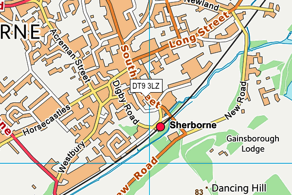 DT9 3LZ map - OS VectorMap District (Ordnance Survey) DT9 3LZ map - OS VectorMap District (Ordnance Survey)