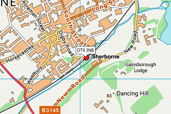 DT9 3NB map - OS VectorMap District (Ordnance Survey) DT9 3NB map - OS VectorMap District (Ordnance Survey)