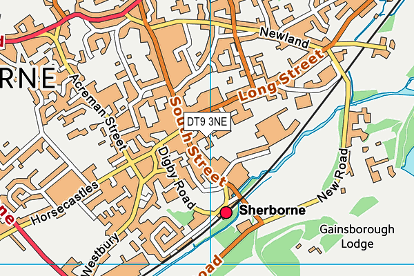 DT9 3NE map - OS VectorMap District (Ordnance Survey) DT9 3NE map - OS VectorMap District (Ordnance Survey)