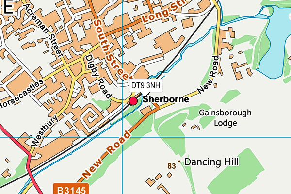 DT9 3NH map - OS VectorMap District (Ordnance Survey) DT9 3NH map - OS VectorMap District (Ordnance Survey)