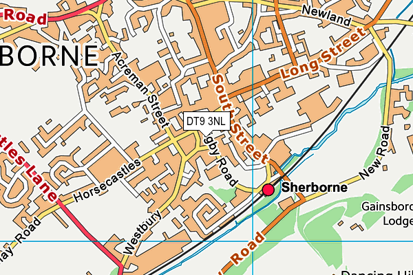 DT9 3NL map - OS VectorMap District (Ordnance Survey) DT9 3NL map - OS VectorMap District (Ordnance Survey)