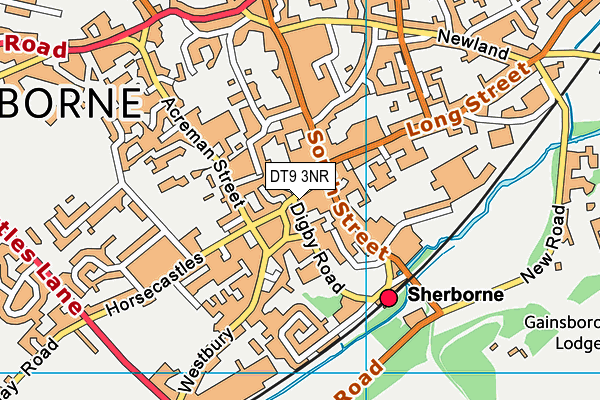 DT9 3NR map - OS VectorMap District (Ordnance Survey) DT9 3NR map - OS VectorMap District (Ordnance Survey)
