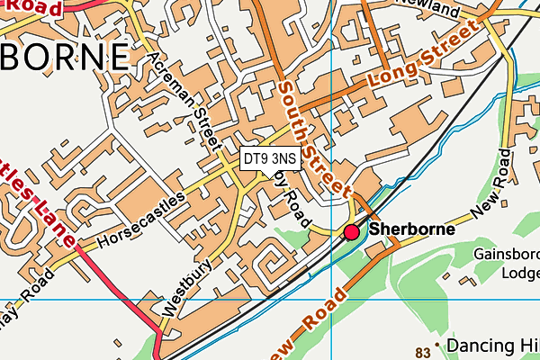 DT9 3NS map - OS VectorMap District (Ordnance Survey) DT9 3NS map - OS VectorMap District (Ordnance Survey)