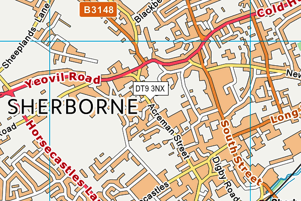 DT9 3NX map - OS VectorMap District (Ordnance Survey) DT9 3NX map - OS VectorMap District (Ordnance Survey)