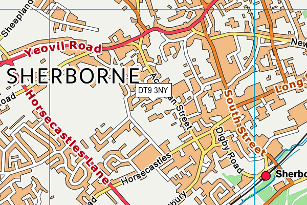 DT9 3NY map - OS VectorMap District (Ordnance Survey)