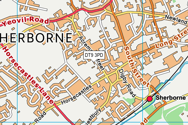DT9 3PD map - OS VectorMap District (Ordnance Survey) DT9 3PD map - OS VectorMap District (Ordnance Survey)