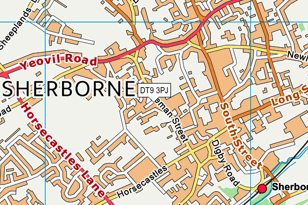 DT9 3PJ map - OS VectorMap District (Ordnance Survey) DT9 3PJ map - OS VectorMap District (Ordnance Survey)