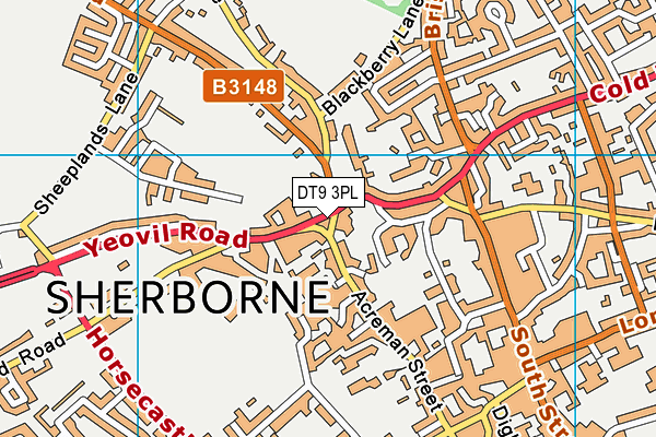 DT9 3PL map - OS VectorMap District (Ordnance Survey) DT9 3PL map - OS VectorMap District (Ordnance Survey)
