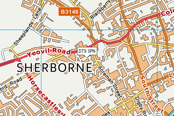 DT9 3PN map - OS VectorMap District (Ordnance Survey) DT9 3PN map - OS VectorMap District (Ordnance Survey)