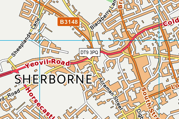 DT9 3PQ map - OS VectorMap District (Ordnance Survey)