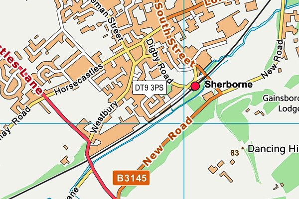 DT9 3PS map - OS VectorMap District (Ordnance Survey) DT9 3PS map - OS VectorMap District (Ordnance Survey)
