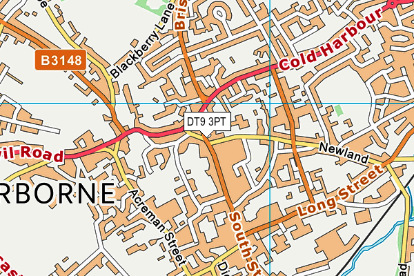 DT9 3PT map - OS VectorMap District (Ordnance Survey) DT9 3PT map - OS VectorMap District (Ordnance Survey)
