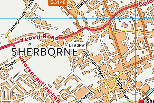 DT9 3PW map - OS VectorMap District (Ordnance Survey) DT9 3PW map - OS VectorMap District (Ordnance Survey)
