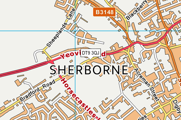 DT9 3QJ map - OS VectorMap District (Ordnance Survey) DT9 3QJ map - OS VectorMap District (Ordnance Survey)
