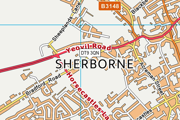 DT9 3QN map - OS VectorMap District (Ordnance Survey) DT9 3QN map - OS VectorMap District (Ordnance Survey)