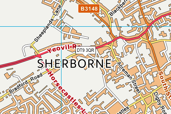 DT9 3QR map - OS VectorMap District (Ordnance Survey) DT9 3QR map - OS VectorMap District (Ordnance Survey)