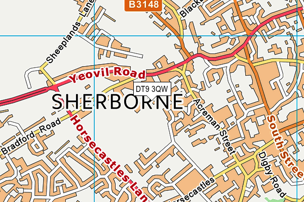 DT9 3QW map - OS VectorMap District (Ordnance Survey) DT9 3QW map - OS VectorMap District (Ordnance Survey)