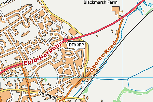 DT9 3RP map - OS VectorMap District (Ordnance Survey) DT9 3RP map - OS VectorMap District (Ordnance Survey)