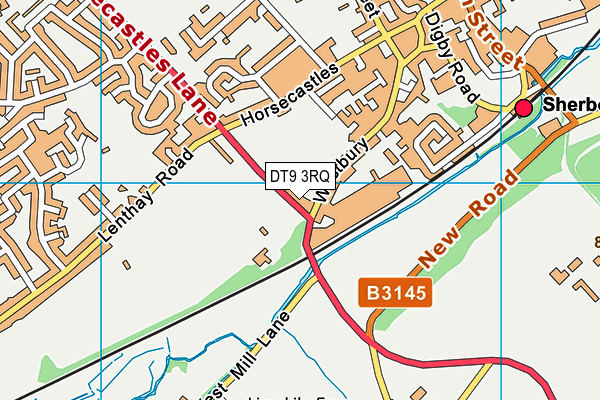 DT9 3RQ map - OS VectorMap District (Ordnance Survey) DT9 3RQ map - OS VectorMap District (Ordnance Survey)