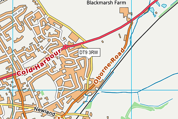 DT9 3RW map - OS VectorMap District (Ordnance Survey) DT9 3RW map - OS VectorMap District (Ordnance Survey)
