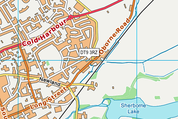 DT9 3RZ map - OS VectorMap District (Ordnance Survey) DT9 3RZ map - OS VectorMap District (Ordnance Survey)