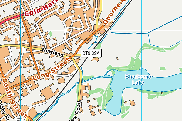 DT9 3SA map - OS VectorMap District (Ordnance Survey) DT9 3SA map - OS VectorMap District (Ordnance Survey)