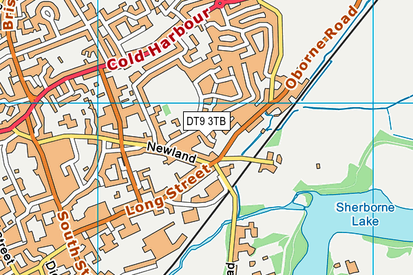 DT9 3TB map - OS VectorMap District (Ordnance Survey) DT9 3TB map - OS VectorMap District (Ordnance Survey)