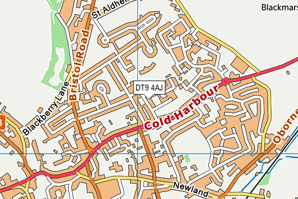 DT9 4AJ map - OS VectorMap District (Ordnance Survey)