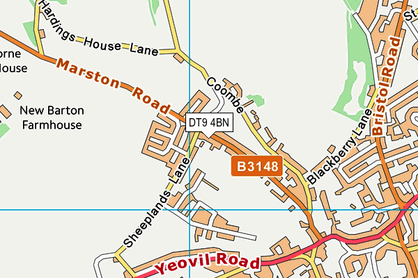 DT9 4BN map - OS VectorMap District (Ordnance Survey) DT9 4BN map - OS VectorMap District (Ordnance Survey)