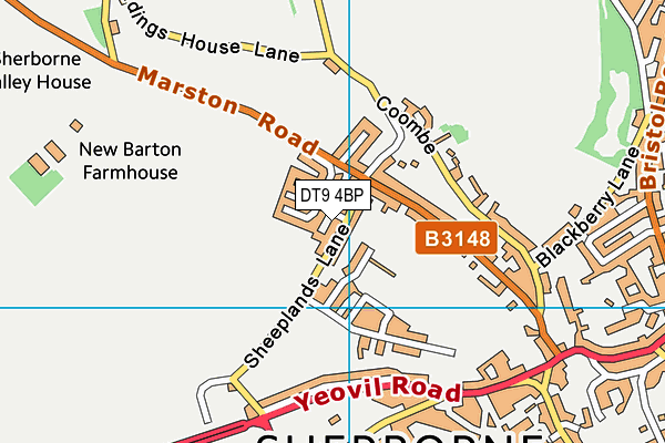 DT9 4BP map - OS VectorMap District (Ordnance Survey) DT9 4BP map - OS VectorMap District (Ordnance Survey)