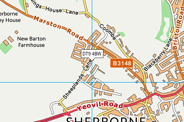DT9 4BW map - OS VectorMap District (Ordnance Survey)