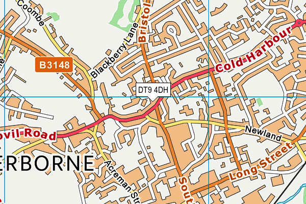 DT9 4DH map - OS VectorMap District (Ordnance Survey) DT9 4DH map - OS VectorMap District (Ordnance Survey)