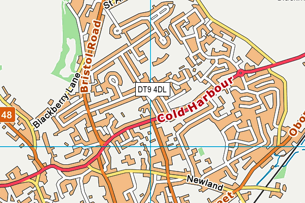 DT9 4DL map - OS VectorMap District (Ordnance Survey) DT9 4DL map - OS VectorMap District (Ordnance Survey)