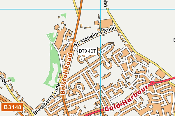 DT9 4DT map - OS VectorMap District (Ordnance Survey) DT9 4DT map - OS VectorMap District (Ordnance Survey)